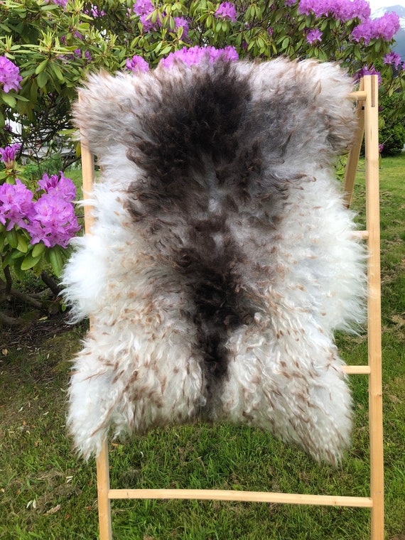 Norwegian Sheepskin rug supersoft pelt rugged throw from Norwegian norse breed  medium wool sheep skin grey brown 22118