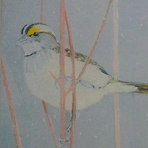 Carte moineau des fêtes [lot de 5 ou 10], carte hiver, carte oiseau, carte faune, carte de Noël, carte de vœux, carte de voeux, carte de neige