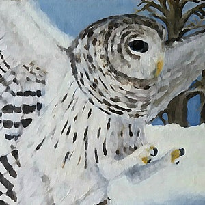 Carte Hibou [Carte unique], Carte Oiseau, Carte De la faune, Carte Neige, Carte d’hiver, Carte de vœux, Carte de remerciement, Carte d’ami, Carte d’Oklahoma