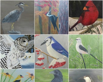 Wildlife Greeting Card Set--Mix and Match Set of 4  (Original Wildlife Art)