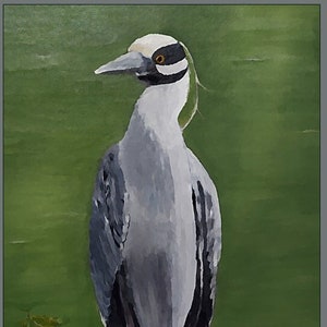 Yellow-Crowned Night Heron Card [Set of 4], Heron Card, Egret Card, Bird Card, Wetland Card, Friend Card, Thank You Card, Wildlife Card