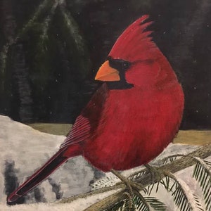 Carte Cardinal des Fêtes [Lot de 5 ou 10] Carte d'hiver, Carte d'oiseau, Carte de la faune, Carte de Noël, Carte de neige, Carte d'arbre, Carte de sapin, Pin, Épinette