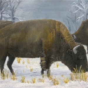 Bison Card [Single Card], Winter Card, Buffalo Card, Snowy Card, Wildlife Card, Oklahoma Card, Woolaroc Card, Friend Card, Thank You Card