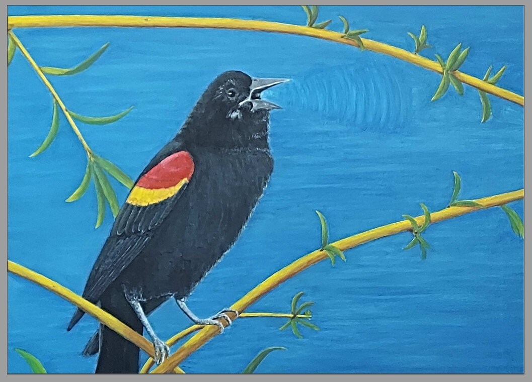 Blackbird Card [Single Card], Bird Card, Red-winged Blackbird, Spring Card, Birdsong Card, Greeting Card, Friend Card, Thank You Card