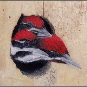 Carta dei tre pulcini di picchio [Set di 4], Carta del picchio impilato, Carta dell'uccello, Carta dell'albero, Carta dell'amico, Carta del ringraziamento, Carta della fauna selvatica, Carta della natura
