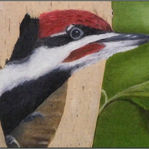 Carta picchio impilato [carta singola], carta uccello, carta albero, carta amico, carta di ringraziamento, carta fauna selvatica, carta natura, carta primavera