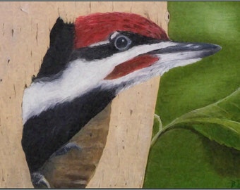 Pileated Woodpecker Card [Single Card], Bird Card, Tree Card, Friend Card, Thank You Card, Wildlife Card, Nature Card, Spring Card