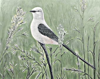 Scissor-Tailed Flycatcher Card [Einzelkarte], Vogelkarte, Frühlingskarte, Wiesenkarte, Präriekarte, Freundeskarte, Dankeskarte, Oklahoma Karte