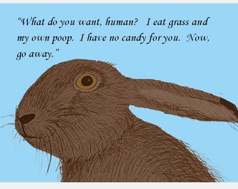 Funny Easter Card [single card], Funny Card, Easter Bunny Card, Spring Card, Rabbit Card, Holiday Card, Easter Candy Card, Humorous Card