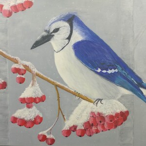 Blue Jay Card, Carta Vacanza, Winter Blue Jay Card, Carta Invernale, Carta Uccello, Biglietto natalizio, Carta Vacanza, Carta Neve, Carta Della Fauna Selvatica, Belle Arti