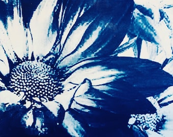 Chrysanthemums