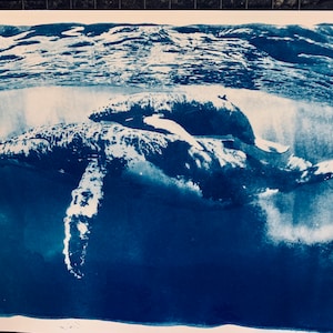 Mother and Baby Whale