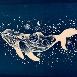 Walvis geest