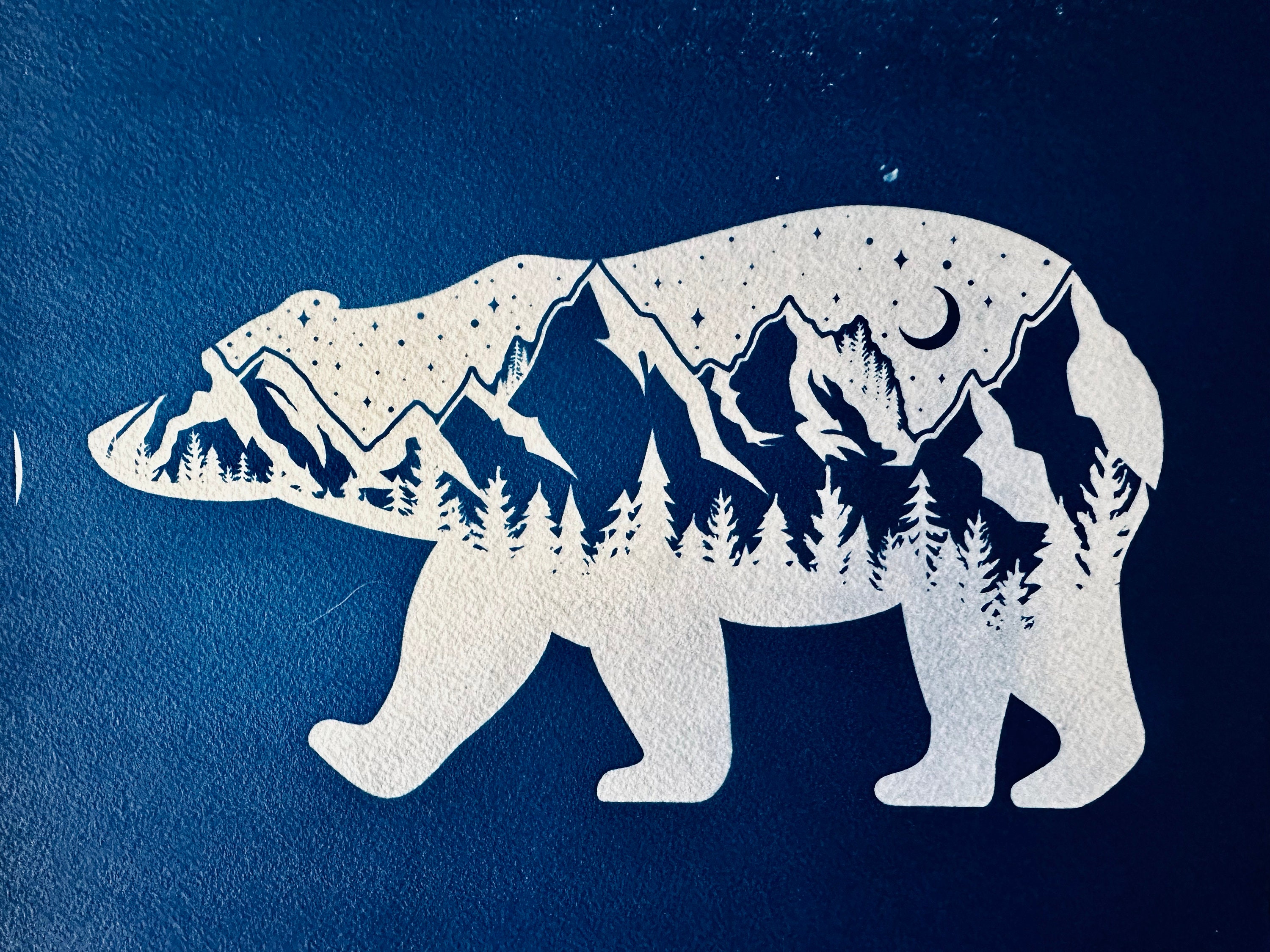 Polar Bear Spirit