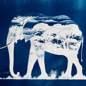 Elefante Espiritual