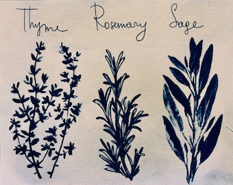 Kitchen Herbs