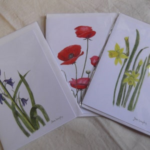 3 x Botanicals Kaarten in Kleurpotloden Veld Klaprozen Bluebell & Narcis door Joan Longley