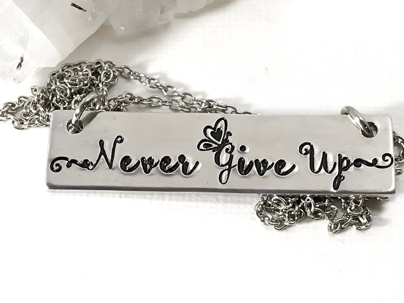 May include: Silver necklace with a rectangular pendant that says "Never Give Up" with a small butterfly design.