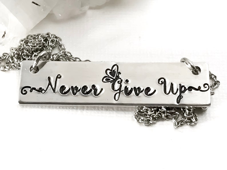 May include: Silver necklace with a rectangular pendant that says "Never Give Up" with a small butterfly design.