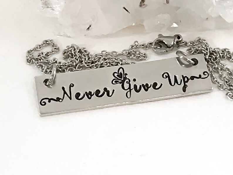May include: Silver necklace with a rectangular pendant that says "Never Give Up" with a small butterfly design.