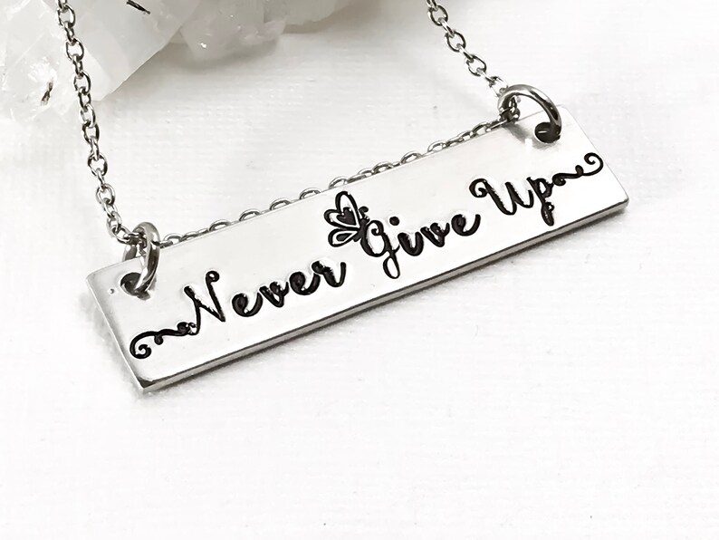 May include: Silver necklace with a rectangular pendant that says "Never Give Up" with a small butterfly design.