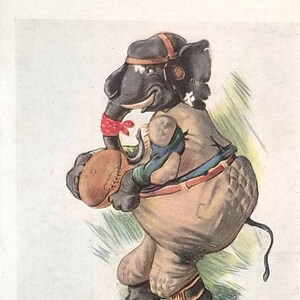 May include: A cartoon illustration of an elephant wearing a football uniform and holding a football. The elephant is wearing a brown and white uniform with a red bandana around its head. The text "HARRY HALFBACK" is written below the elephant.
