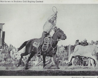 RPPC Postcard Stryker Rodeo Series #6 Roy Matthews  Brahma Calf Roping Contest