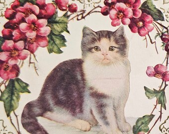 Valentine Postcard Kitty Cat with  Pink Flower Heart Border Printed in Germany Embossed Card