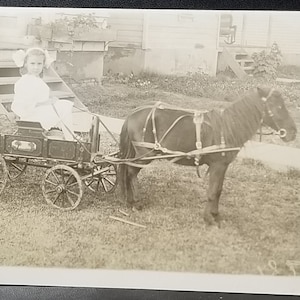 RPPC Real Photo Postcard Little Girl in Wagon Pulled by Shetland Pony