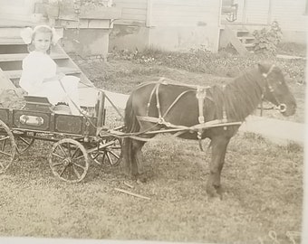 RPPC Real Photo Postcard Little Girl in Wagon Pulled by Shetland Pony