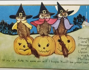 Halloween Postcard Whitney Publishing Owls Dressed as Witches on JOL Pumpkins Century of Progress Stamp