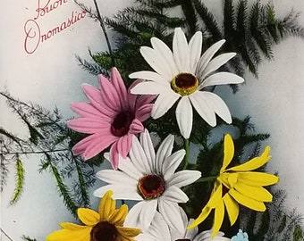 Birthday Flower Postcard Italian Name Day Daisies Series 814 Made in Italy