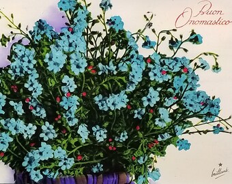 Birthday Flower Postcard Italian Name Day Blue Phlox Series 814 Made in Italy