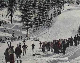 Vintage Skiers Postcard: Charleston Mountain Park, Las Vegas