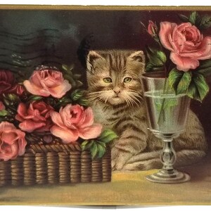 Cat Postcard Kitten with Pink Roses Series 663 Titled Household Pet Gel Finish
