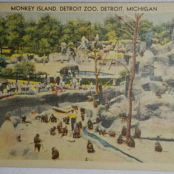 Monkey Island Detroit Zoo MI Michigan Linen Postcard