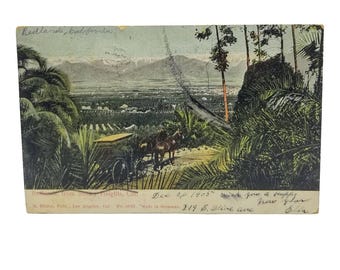 1905 Antique California Postcard | Redlands from Smiley Heights M Rieder Litho