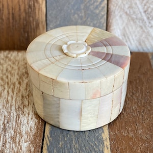 Vintage Round Carved Shell Wood Brass Pill Box