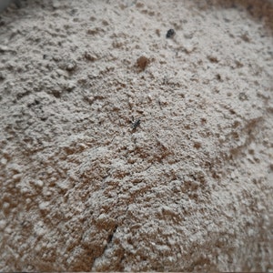 May include: A close-up of a light brown powder with small black specks throughout.