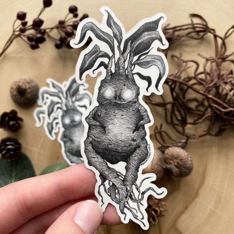 Mandrake Matte Vinyl Sticker mandrake sticker Harry Potter | Etsy