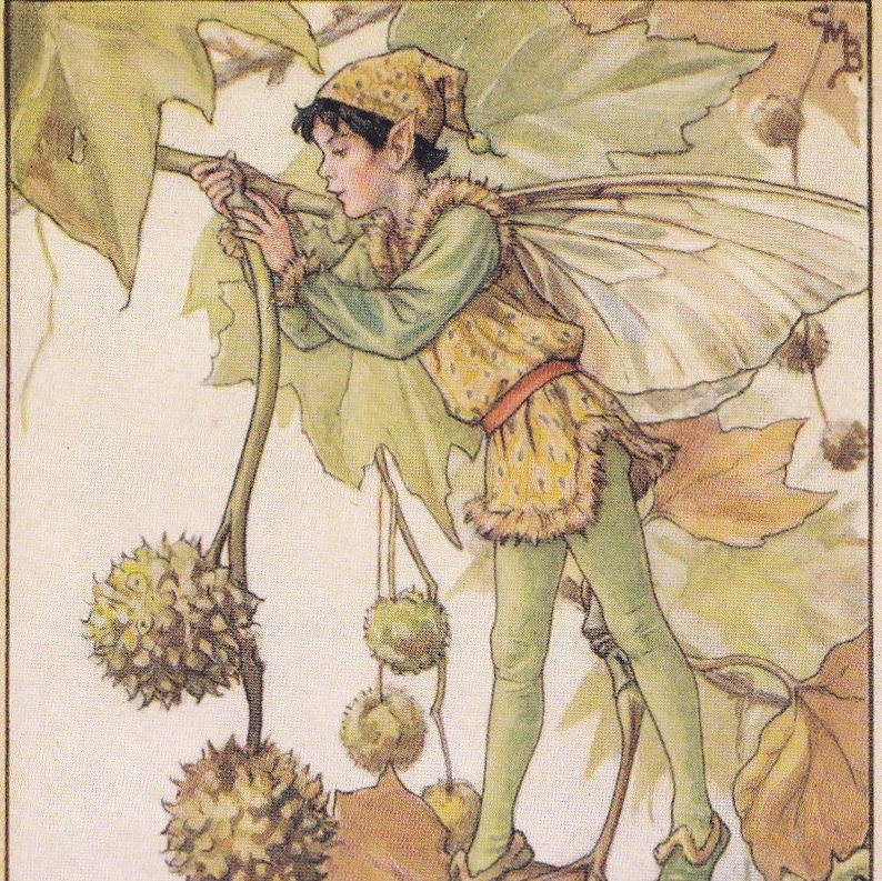 The Original 1934 The Plane Tree Fairy Printed by Cicely Mary Barker from her book Flower Fairies of the Trees