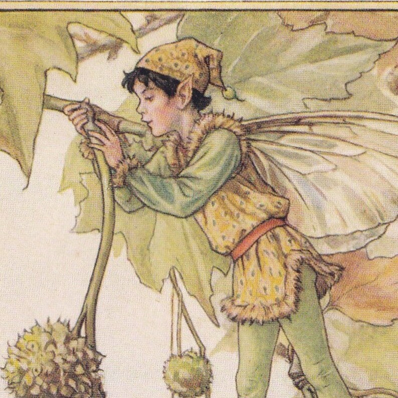 The Original 1934 The Plane Tree Fairy Printed by Cicely Mary Barker from her book Flower Fairies of the Trees