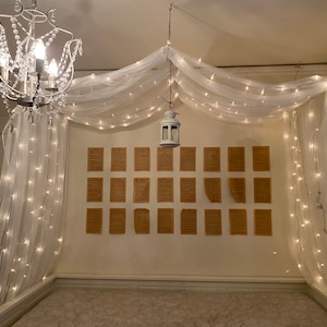 May include: A white canopy bed with a white sheer curtain and string lights. The bed is decorated with a white lantern and a crystal chandelier. There are 20 small, rectangular, brown paper frames on the wall behind the bed.