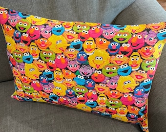 Kid's Favorites Sesame St Envelope-Style Pillowcases 14" x 20" or 13" x 18" CASE ONLY Various Patterns