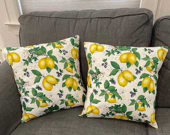 Set of 2, Lemon and Blueberry Pillow Covers, Envelope-Style to fit 16" x 16"  (Form NOT included)