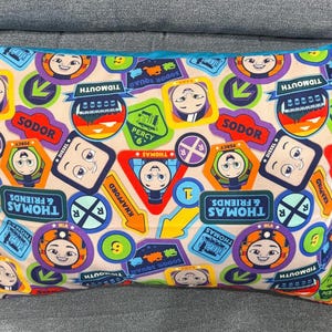 Toddler Favorites 14x20 Envelope-Style Pillowcase (Case Only) Inspired by Thomas Train,  Peter Rabbit, and More. Also fits 13x18 pillows.