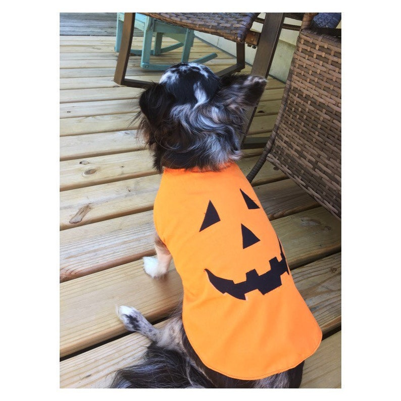Dog Pumpkin Costume/pet Pumpkin Costume/halloween Pumpkin Etsy