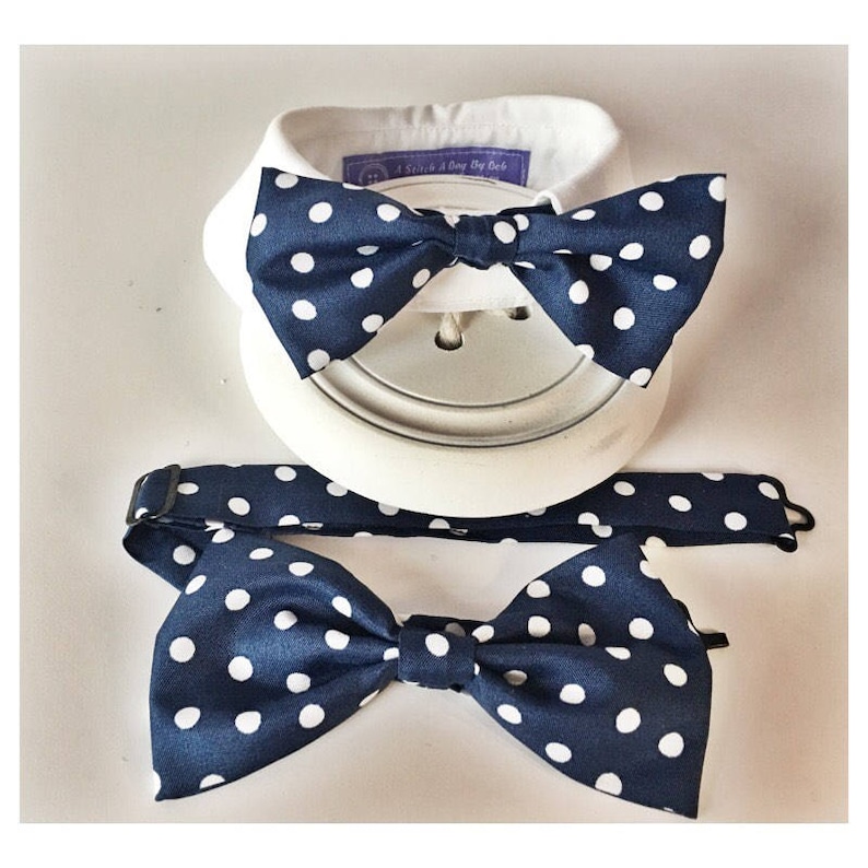 matching bow ties for dog and owner