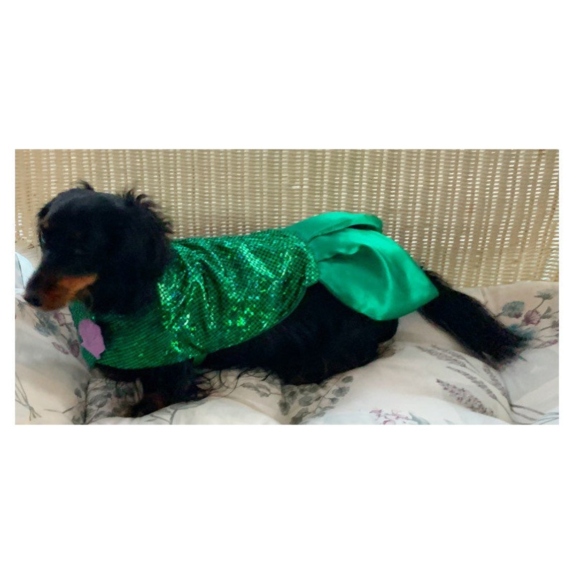 Dog Mermaid Costume/disney Inspired Little Mermaid Costume/pet Etsy