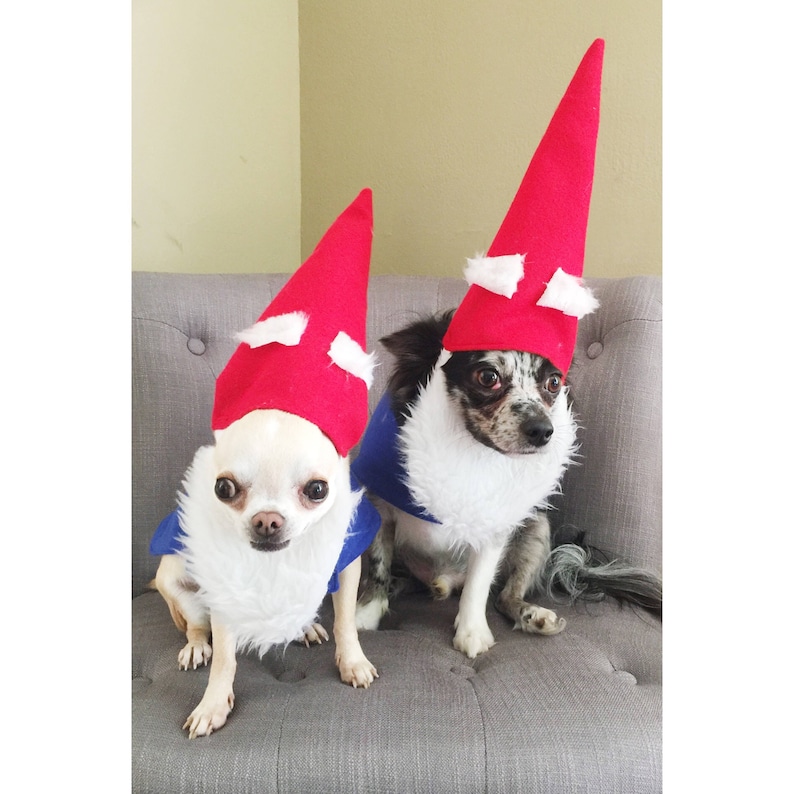 Download Dog Garden Gnome Costume/Dog Gnome Costume/Cat Garden ...